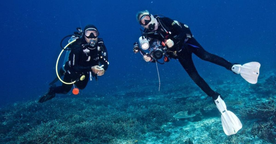 스쿠버다이빙 비용 (2025년 기준)