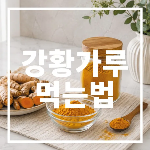 강황가루 먹는법
