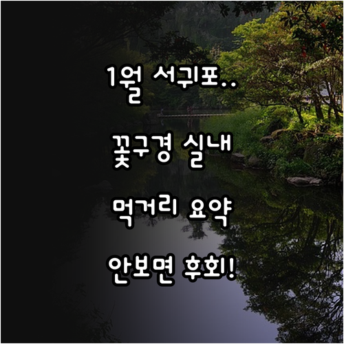 1월 서귀포 여행 필수 명소 꽃구경 ..