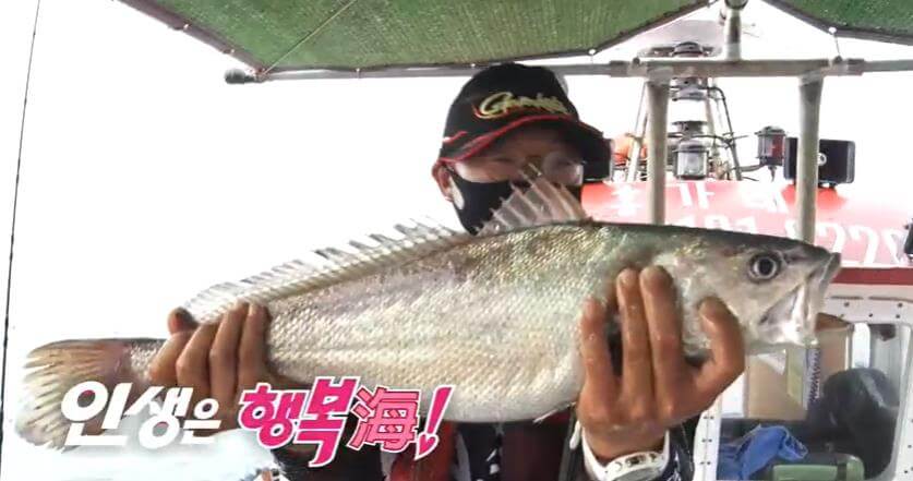 6시내고향-고흥-나로도-민어낚시