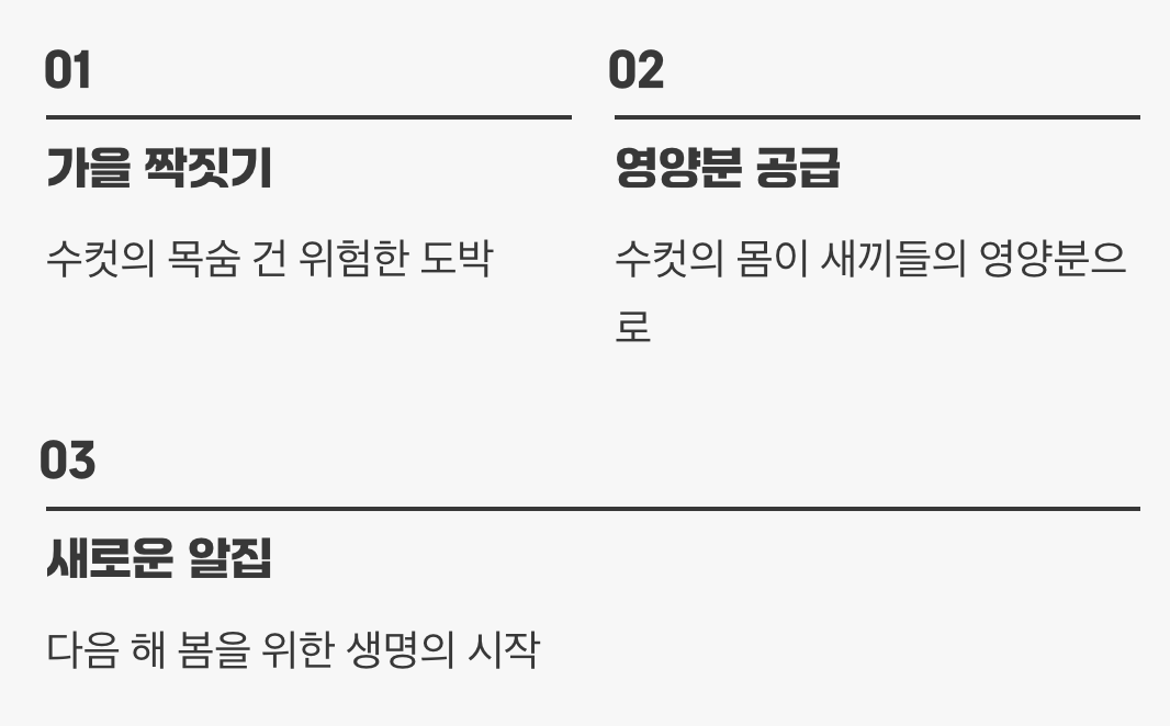 5. 생명의 순환, 짝짓기와 새로운 시작