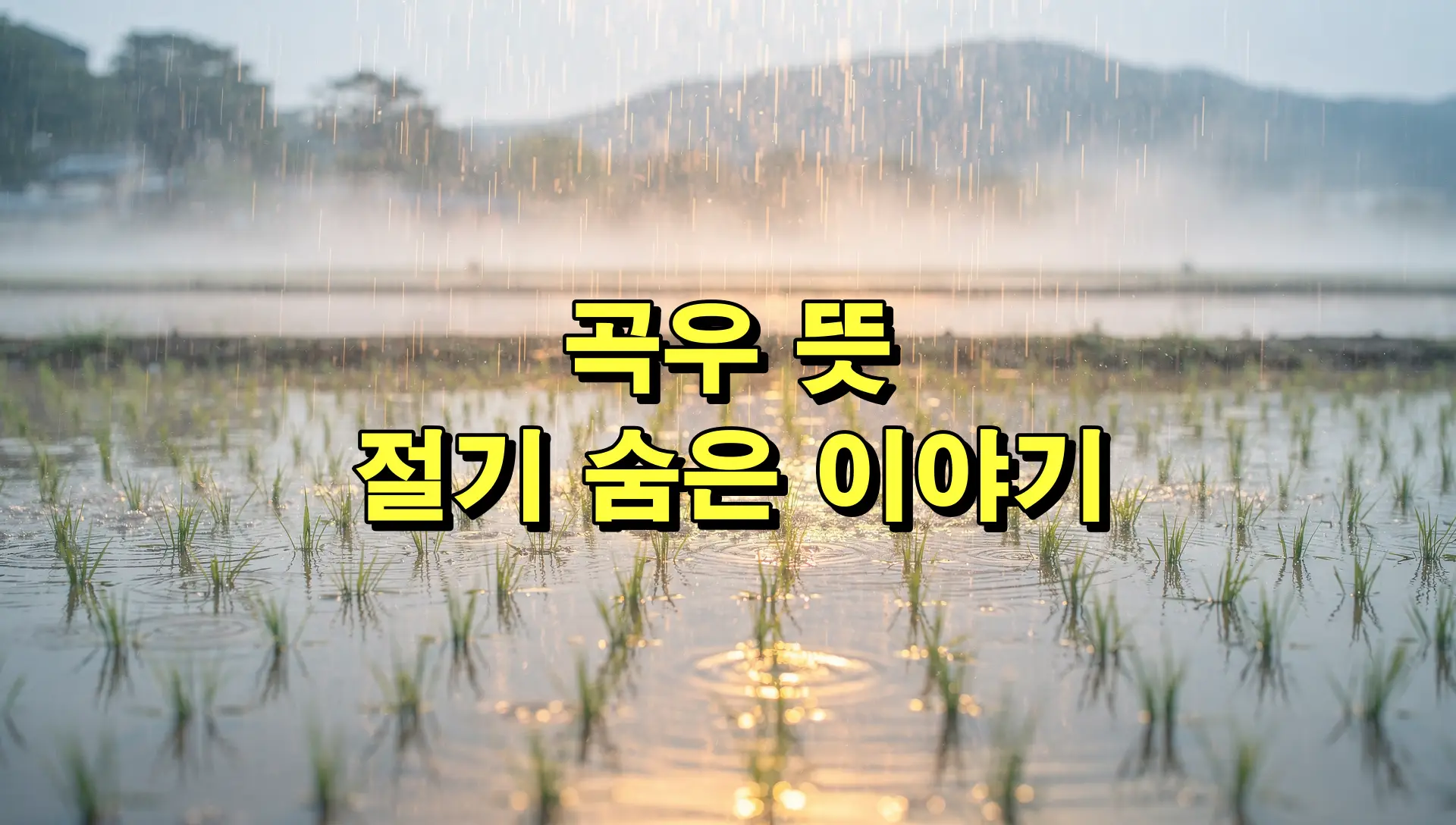 곡우 뜻