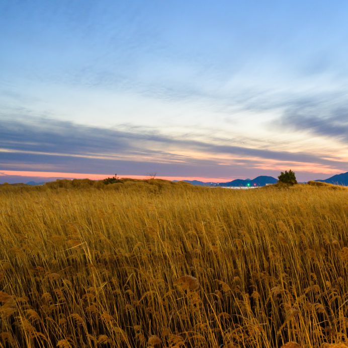 다대포해수욕장