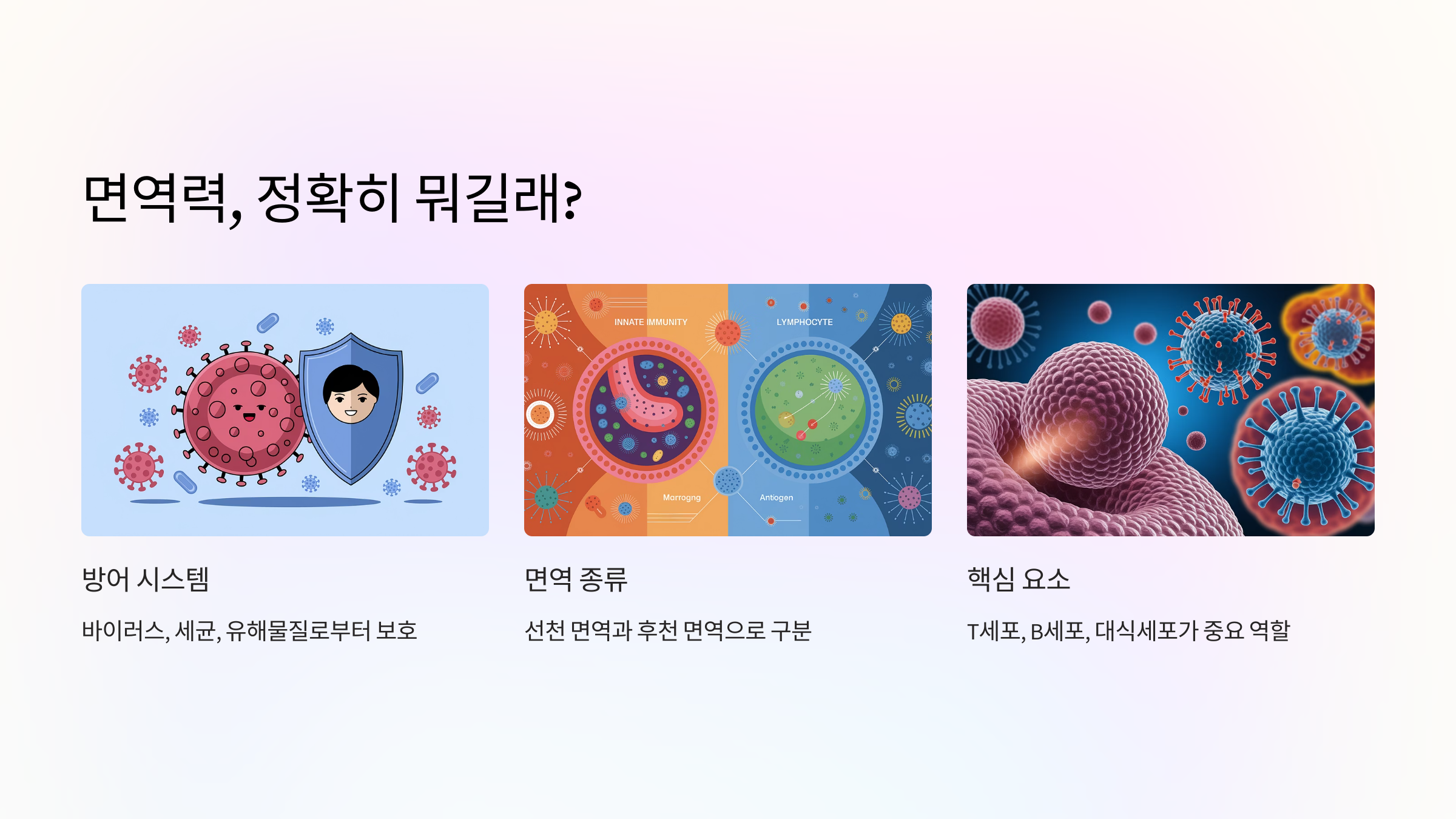 🧬 면역력, 정확히 뭐길래?