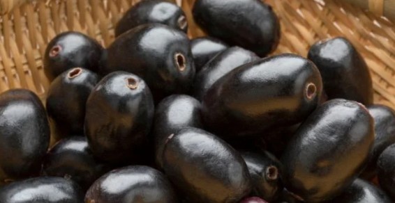 당뇨에 좋은 과일 추천 9가지 천연 방식으로 혈당 수치를 관리하는 법