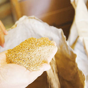 곡물 사료 관련주 밀 식량 주식 TOP7