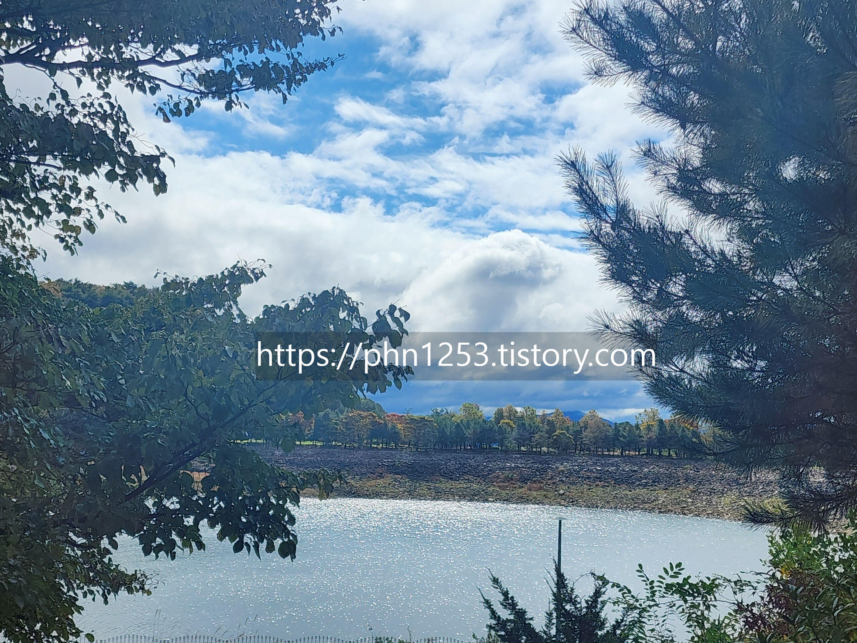 Alt 속성 문제 해결 설명 이미지