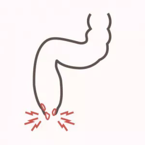 대장기관