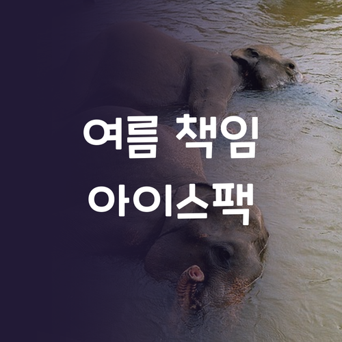 올여름 책임질 아이스팩 추천! EOR..