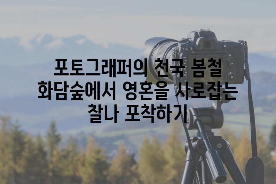 포토그래퍼의 천국 봄철 화담숲에서 영혼을 사로잡는 찰나 포착하기