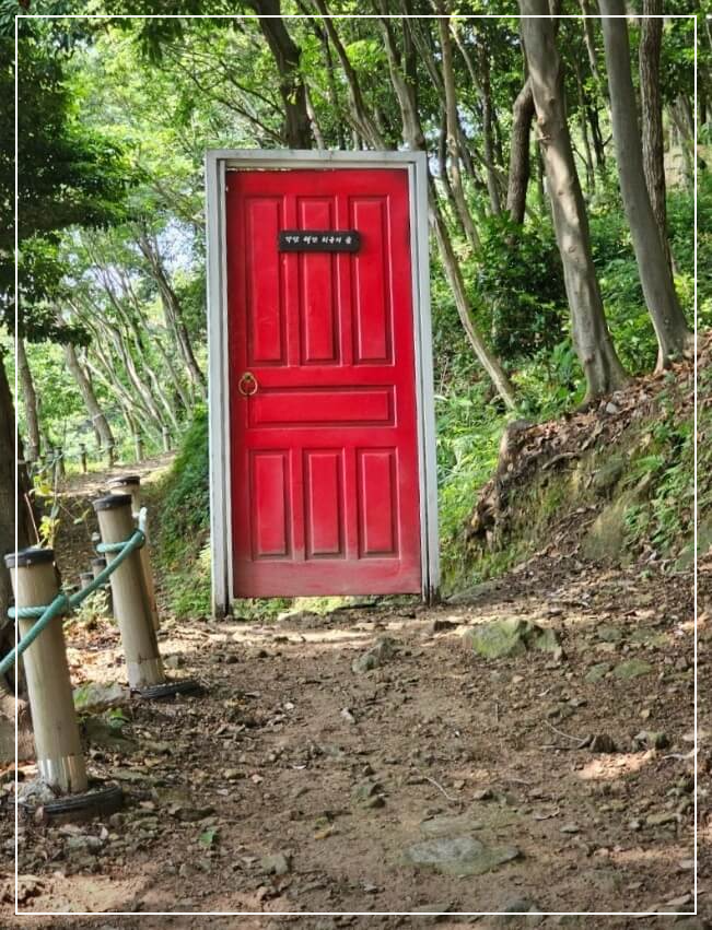 완도 가볼만한곳 베스트10 약산 해안치유의 숲