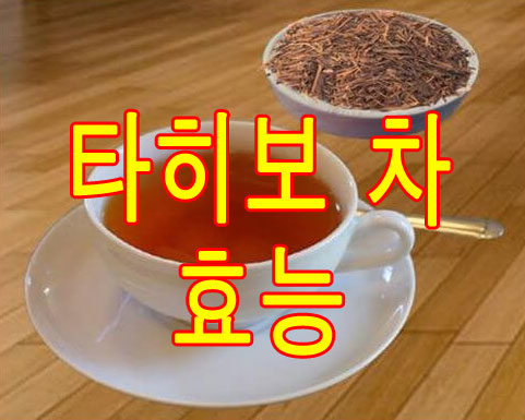 면역력 개선에 좋은 타히보 차 효능 7가지