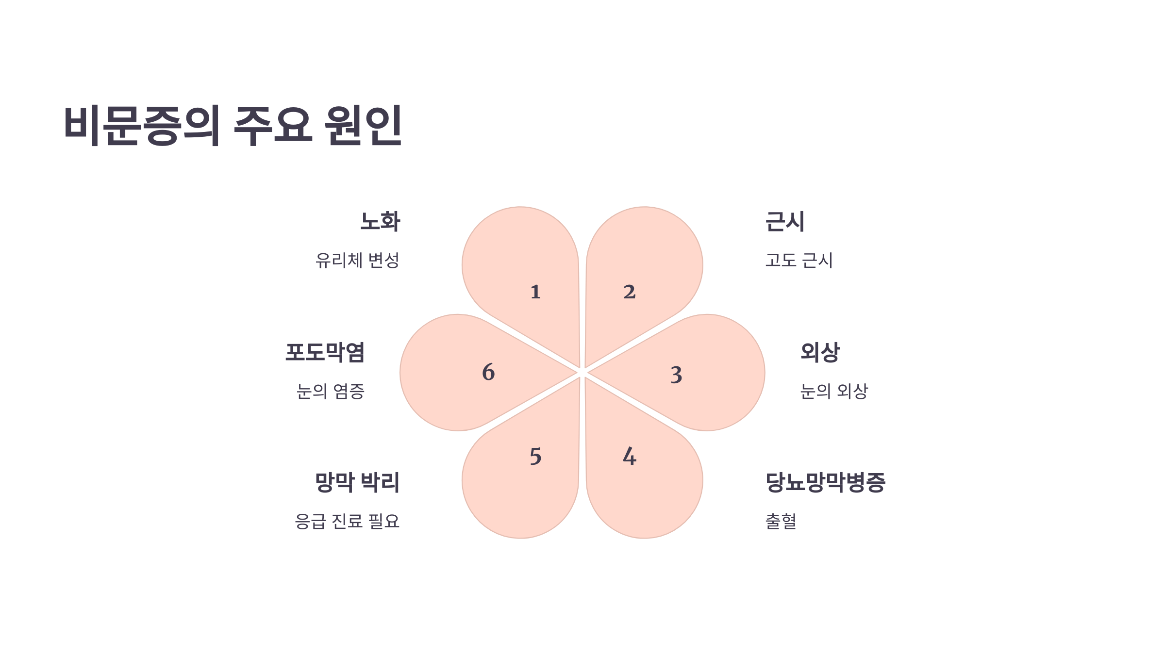 비문증과 관련된 사진입니다.