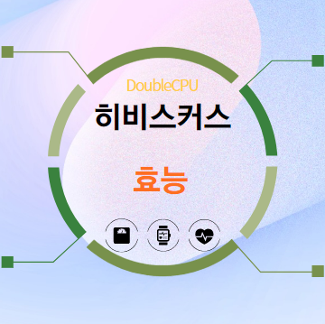 히비스커스 효능 탐구