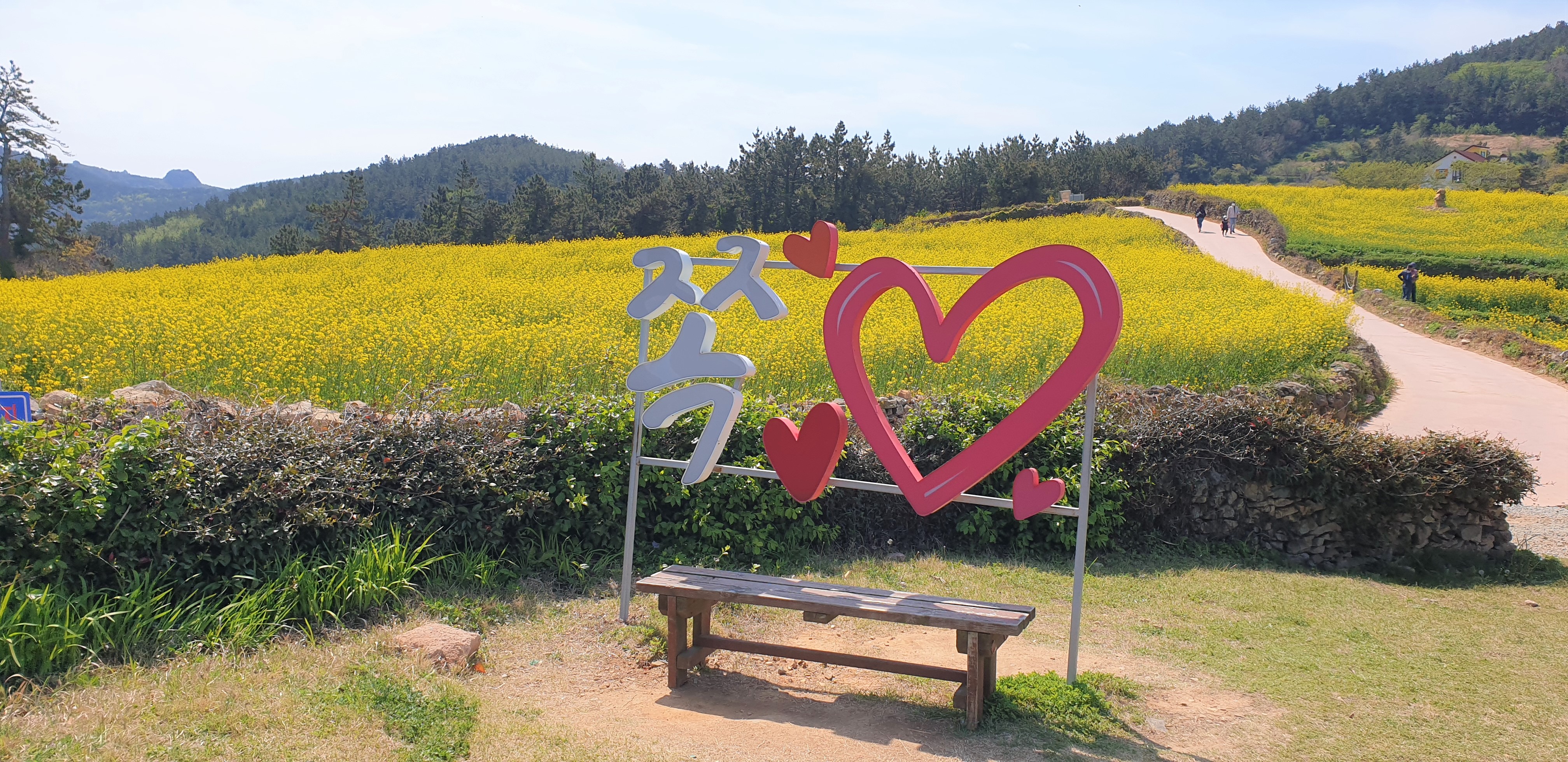 청산도6