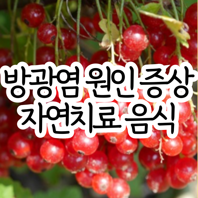 방광염 원인 증상 방광염에 좋은 음식 자연치료