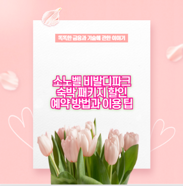 소노벨 비발디파크 숙박 패키지 할인 예약 방법과 이용 팁