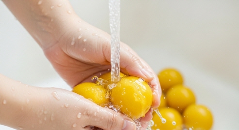 흐르는 물에 세척하는 매실