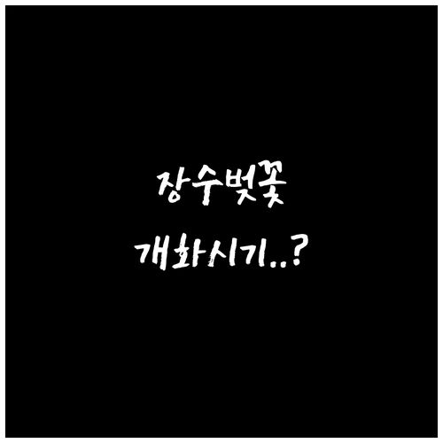 장수군 벚꽃 개화 시기 예측 의암공원..