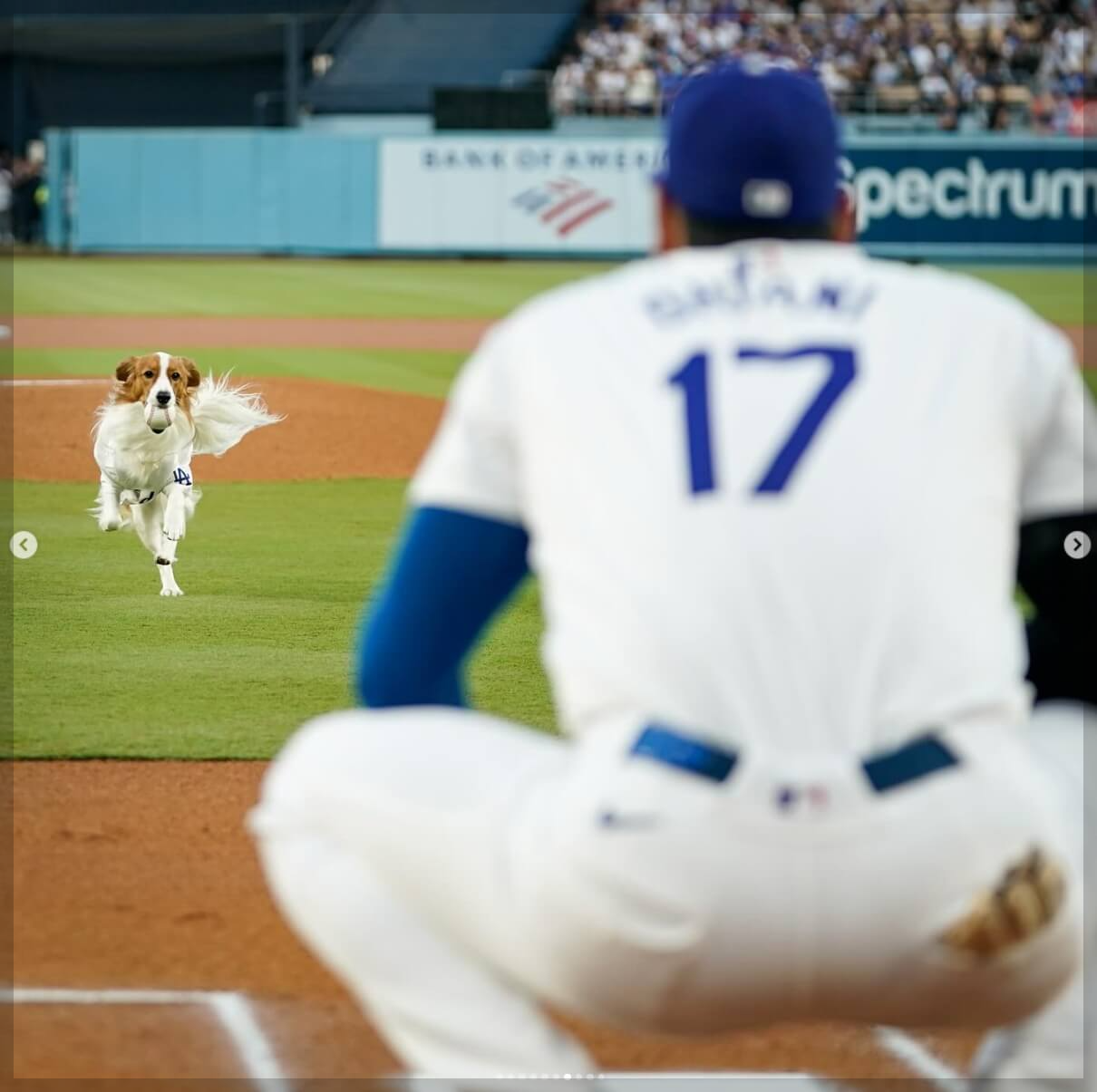 오타니 쇼헤이: 50홈런 50도루 달성&amp;#44; 하이라이트 영상 보기