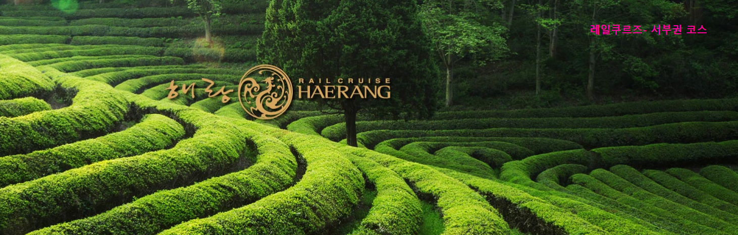 서부권 코스