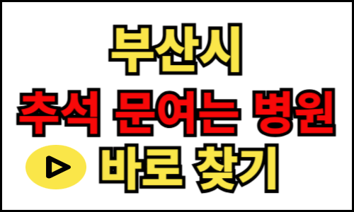 부산 추석 병원 찾기 조회, 우리 동네 문 여는 병원 찾기, 휴일 진료 병원, 오늘 진료 병원, 설날 병원, 명절 병원