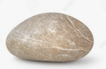 ESFJ 유형 특징 분석