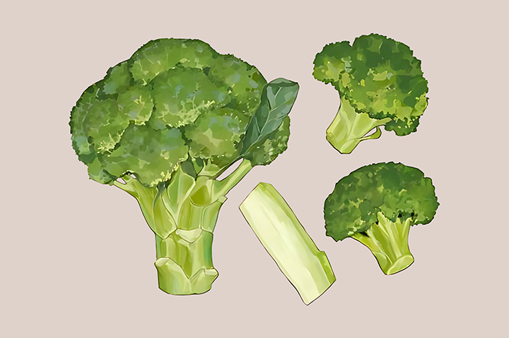 신선한-브로콜리