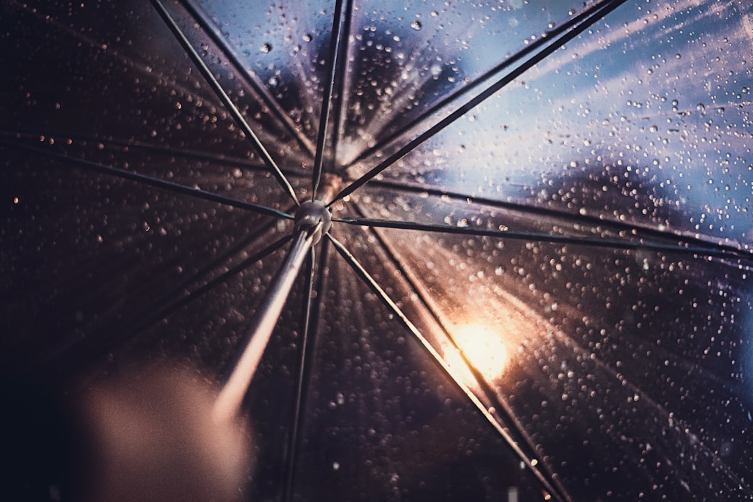 Umbrella
