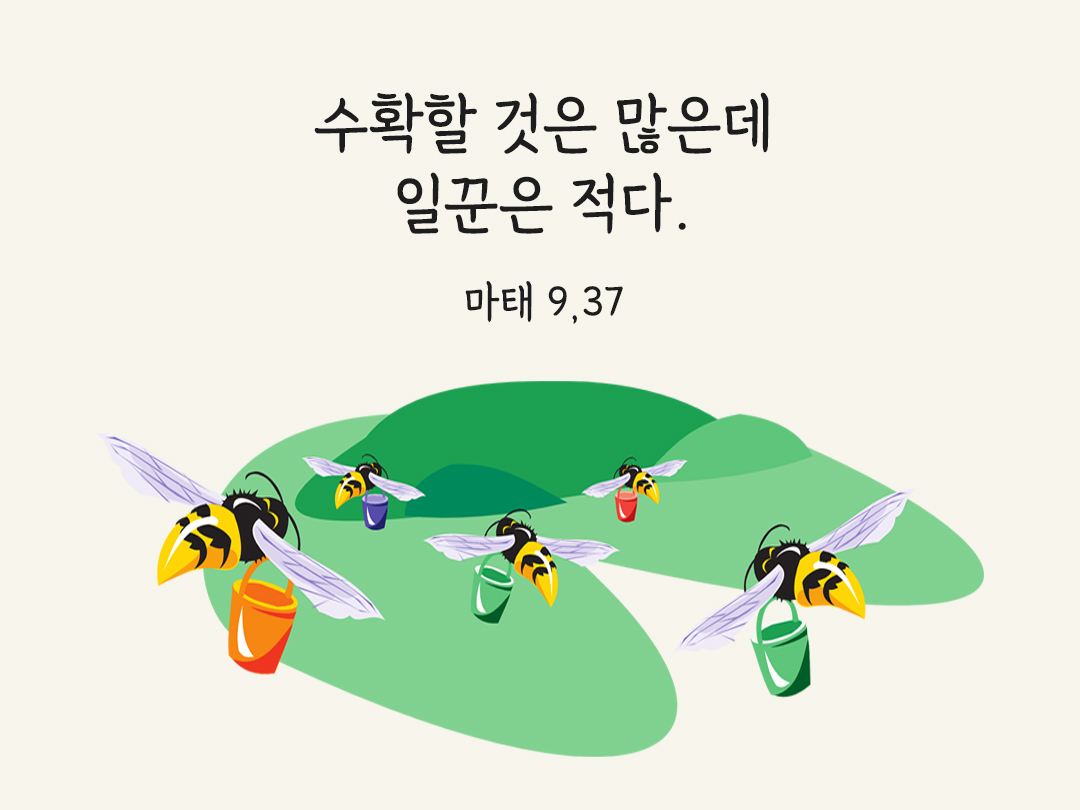 수확할 것은 많은데 일꾼은 적다. (마태 9,37)