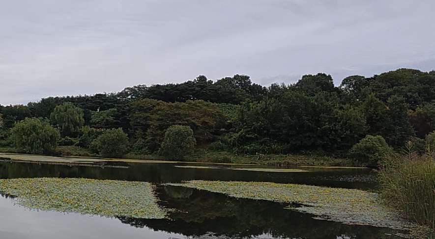 Alt 속성 문제 해결 설명 이미지