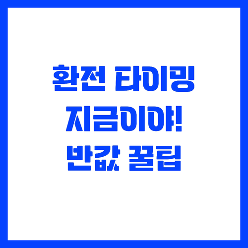 환율 변동 리스크 줄이는 분할 환전 ..