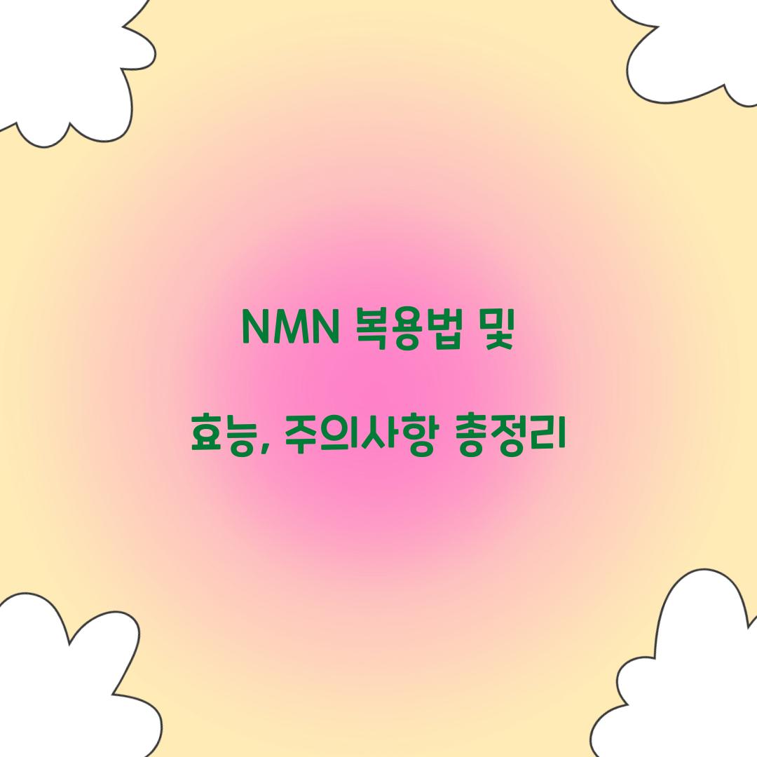 nmn 복용법