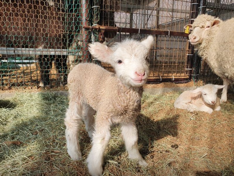 숲소리공원