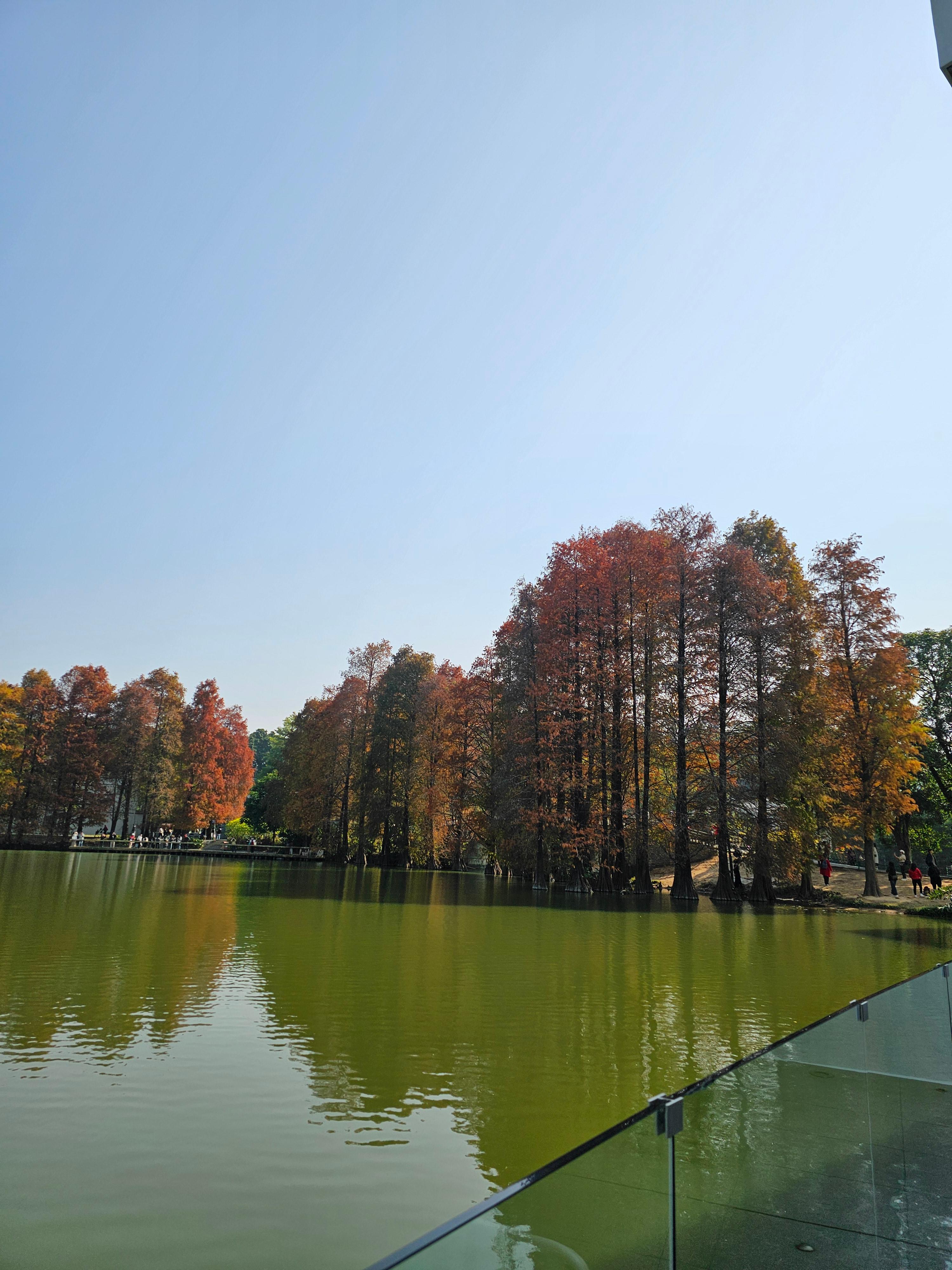 화남국가식물원 내 잔잔한 호수 카페