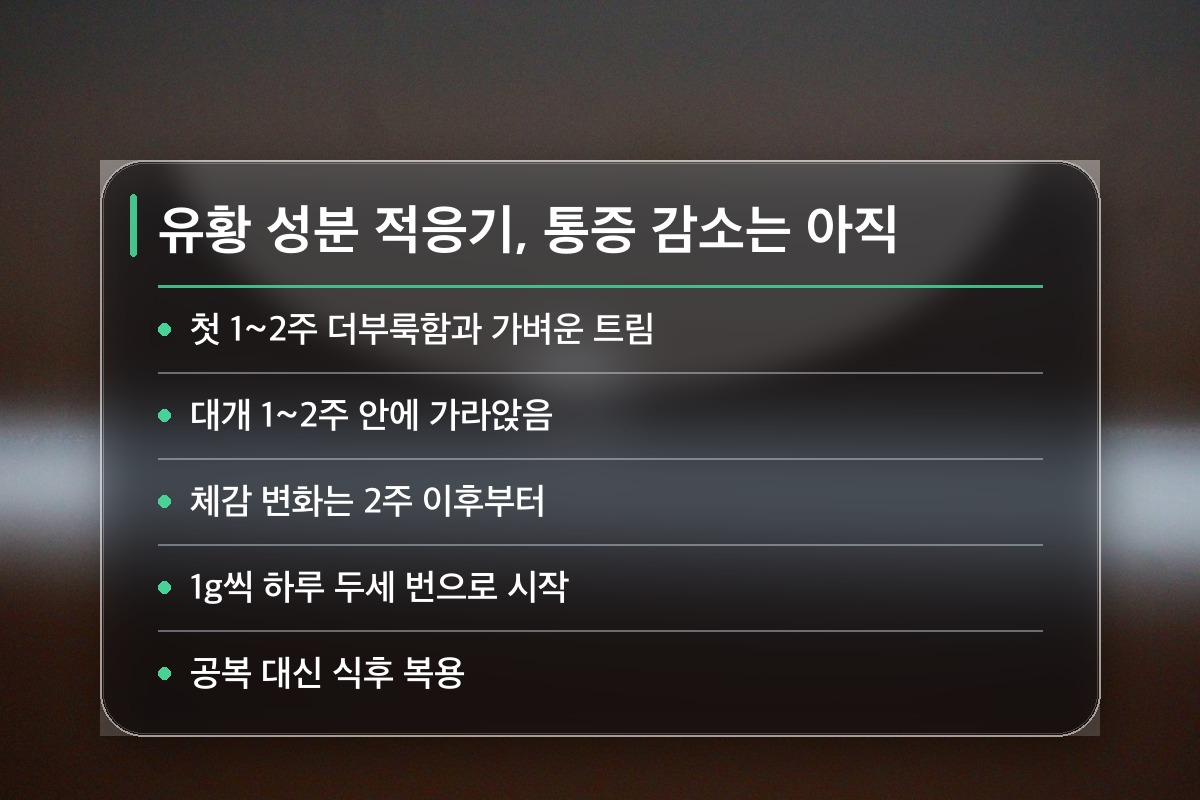 MSM 효능 복용 첫 2~4주, 몸에서는 무슨 일이 벌어질까요?