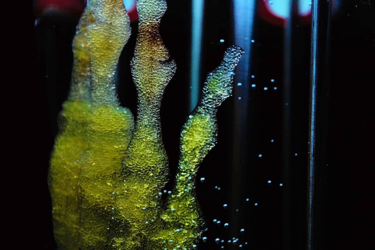 인공 장기 제작의 시대가 열리다, 인공 장기 디자이너