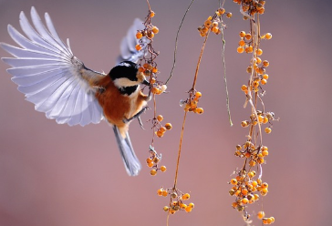 제21대 대통령선거 사전투표소