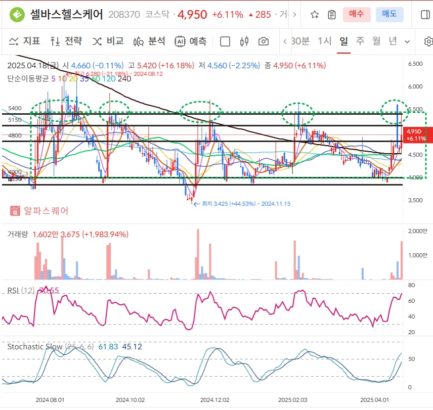 셀바스헬스케어 일봉차트