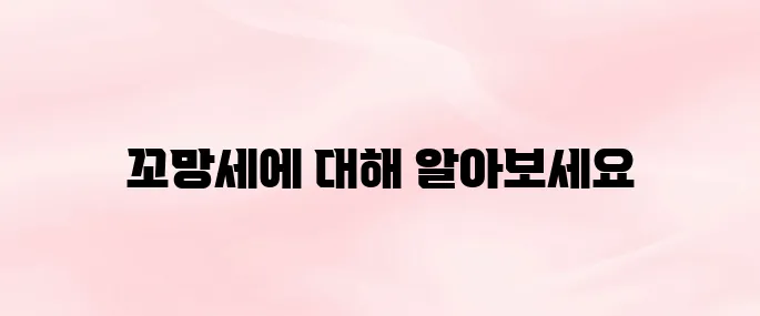 꼬망세 바로가기 홈페이지