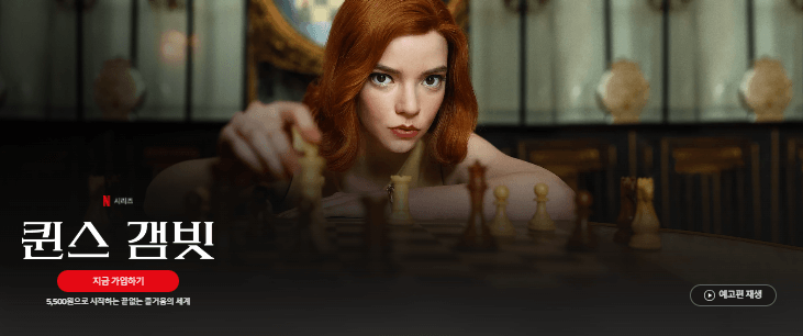 넷플릭스 드라마 추천 2024