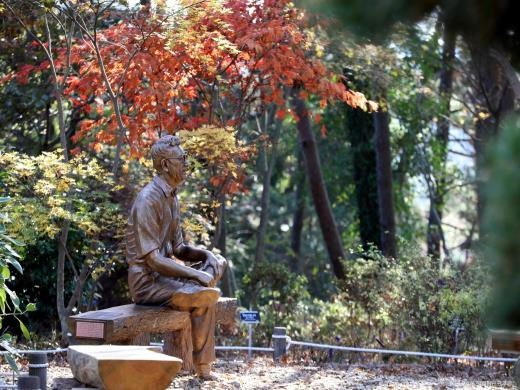 2025 태안 코레일 레트로 낭만열차