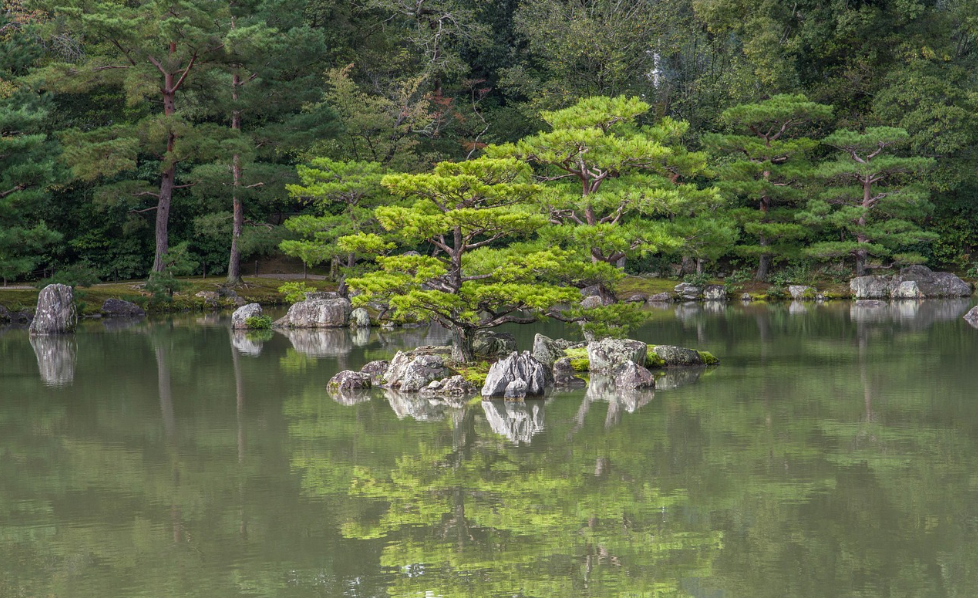교토 관련 사진