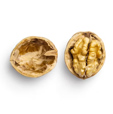 호두 효능과 부작용 하루섭취량 먹는방법 고르는법