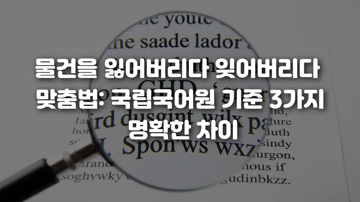 물건을 잃어버리다 잊어버리다 맞춤법 국립국어원 기준 3가지 명확한 차이