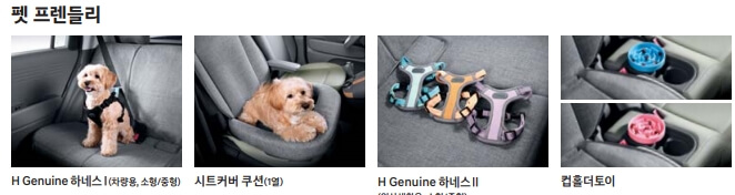 현대 캐스퍼 옵션 3