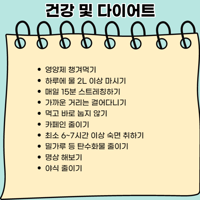 건강및다이어트