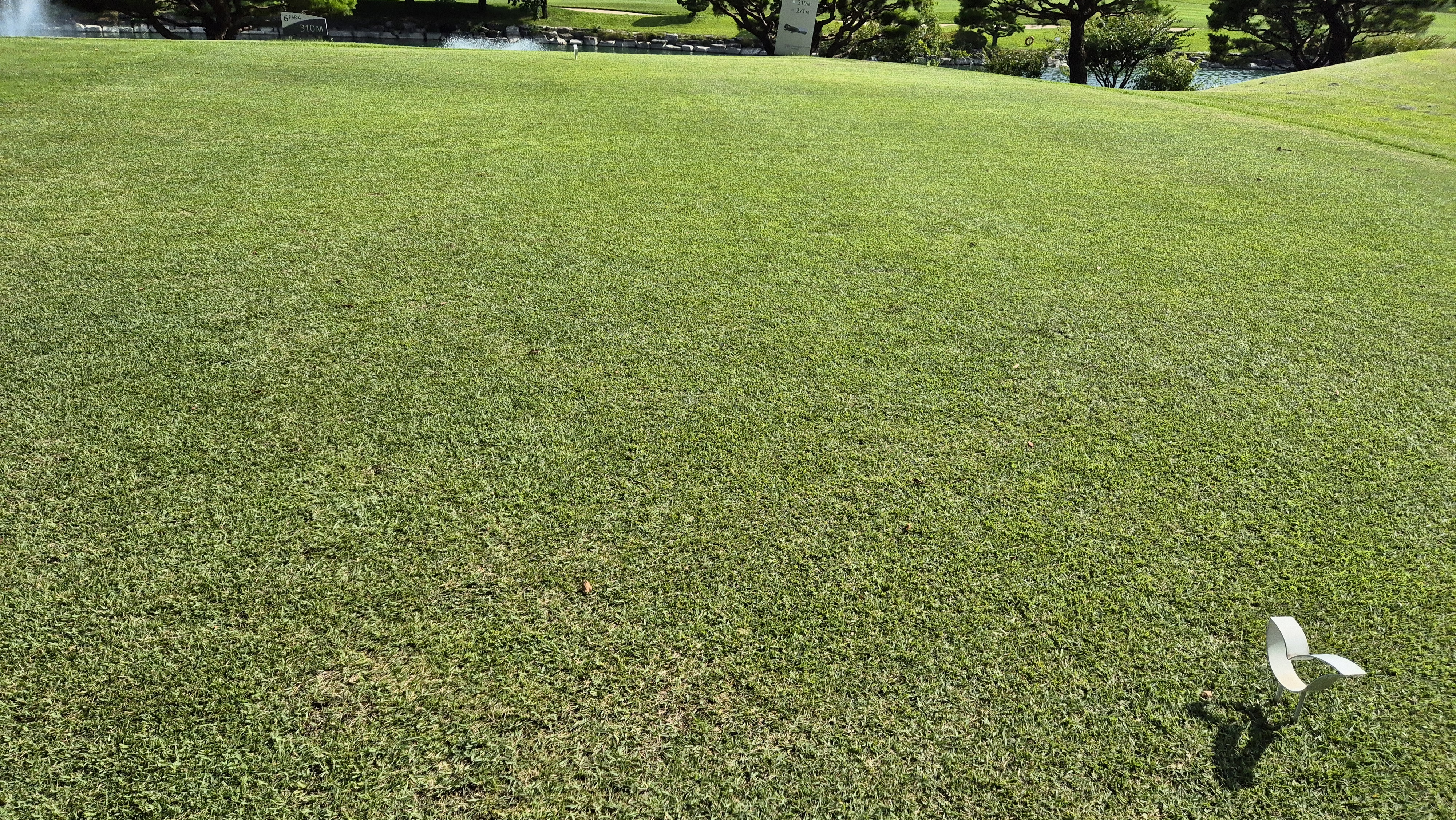 태광cc 북-서 코스 라운드 후기