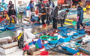 주문지 수산시장