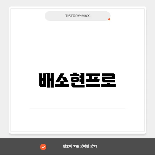 배소현프로